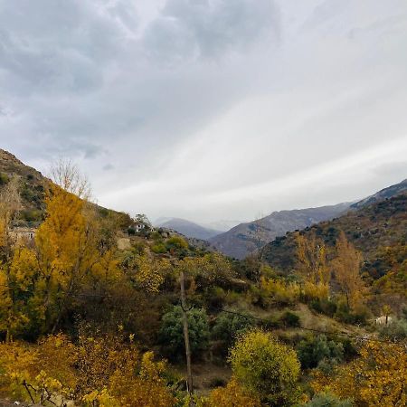 El Hogar De Mercedes Guejar Sierra Extérieur photo